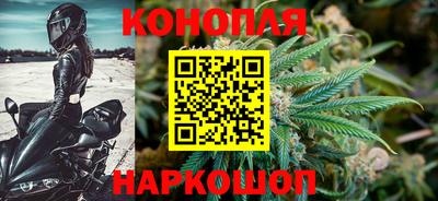 бошки Дубна