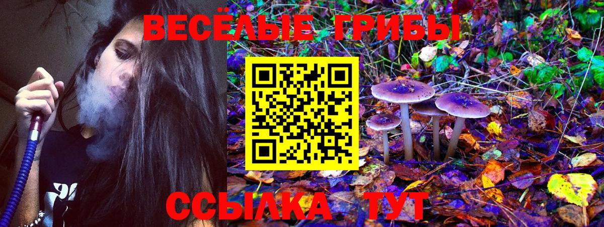Галлюциногенные грибы прущие грибы Минеральные Воды