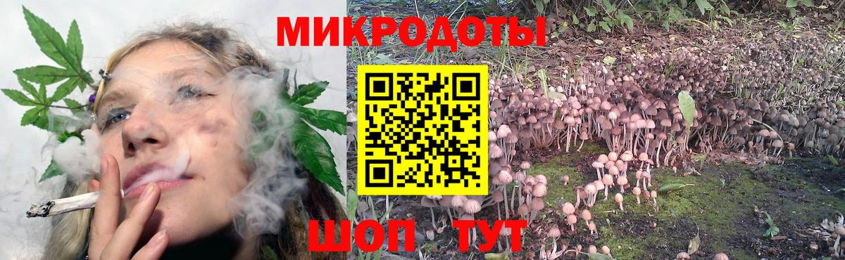 Галлюциногенные грибы MAGIC MUSHROOMS  Вход с VPN  Псилоцибиновые грибы Psilocybine cubensis  Минеральные Воды 